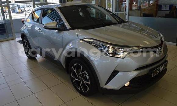Buy Used Toyota C-HR Silver Car in Windhoek in Namibia Buy Used Toyota C-HR Silver Car in Windhoek in Namibia