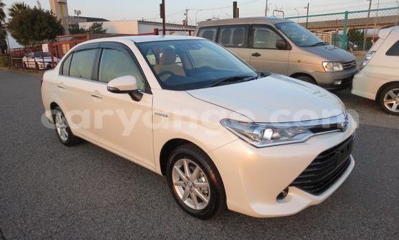Buy Import Toyota Axio White Car in Grootfontein in Namibia Buy Import Toyota Axio White Car in Grootfontein in Namibia