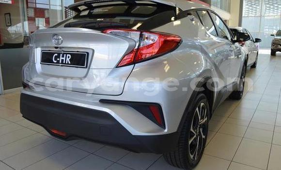 Buy Used Toyota C-HR Silver Car in Windhoek in Namibia Buy Used Toyota C-HR Silver Car in Windhoek in Namibia