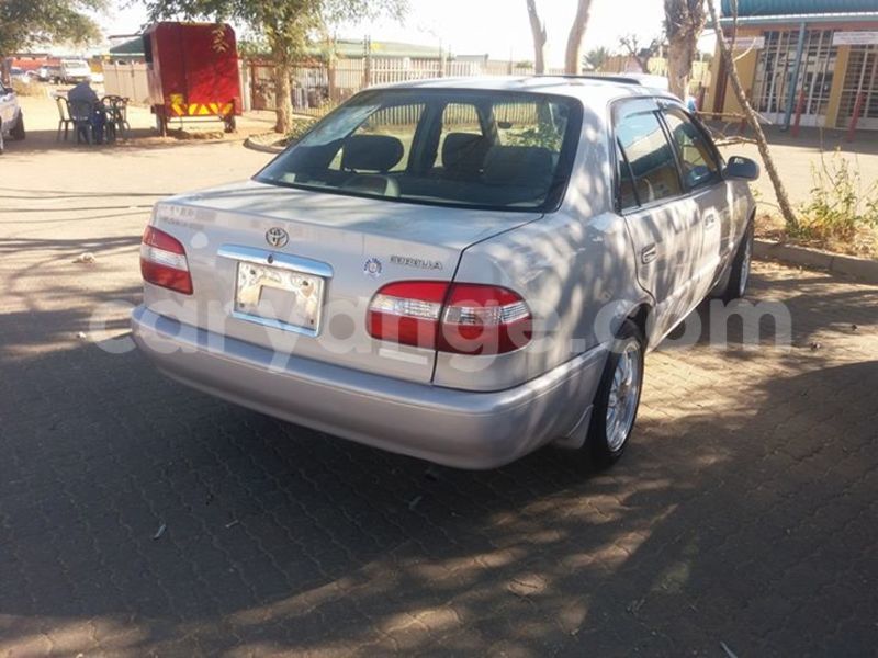 Big with watermark 13590376 10206662432383084 4115939011076166671 n