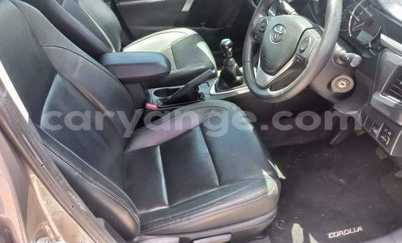 Acheter Occasion Voiture Toyota Corolla Gris à Walvis Bay, Namibie Acheter Occasion Voiture Toyota Corolla Gris à Walvis Bay, Namibie