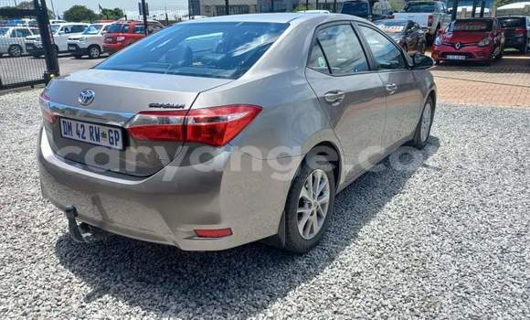 Acheter Occasion Voiture Toyota Corolla Gris à Walvis Bay, Namibie Acheter Occasion Voiture Toyota Corolla Gris à Walvis Bay, Namibie