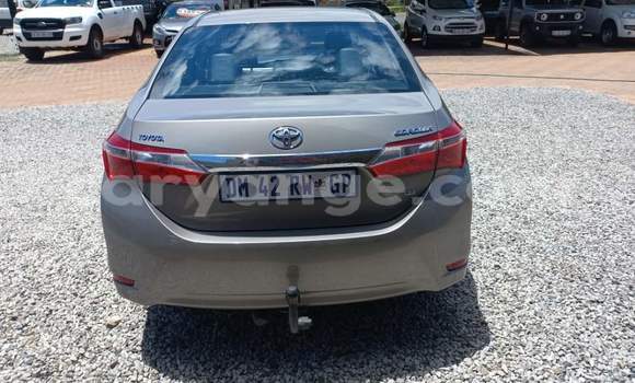 Acheter Occasion Voiture Toyota Corolla Gris à Walvis Bay, Namibie Acheter Occasion Voiture Toyota Corolla Gris à Walvis Bay, Namibie