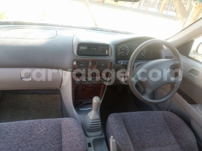 Big with watermark 13606853 10206662432663091 6028052181327494712 n