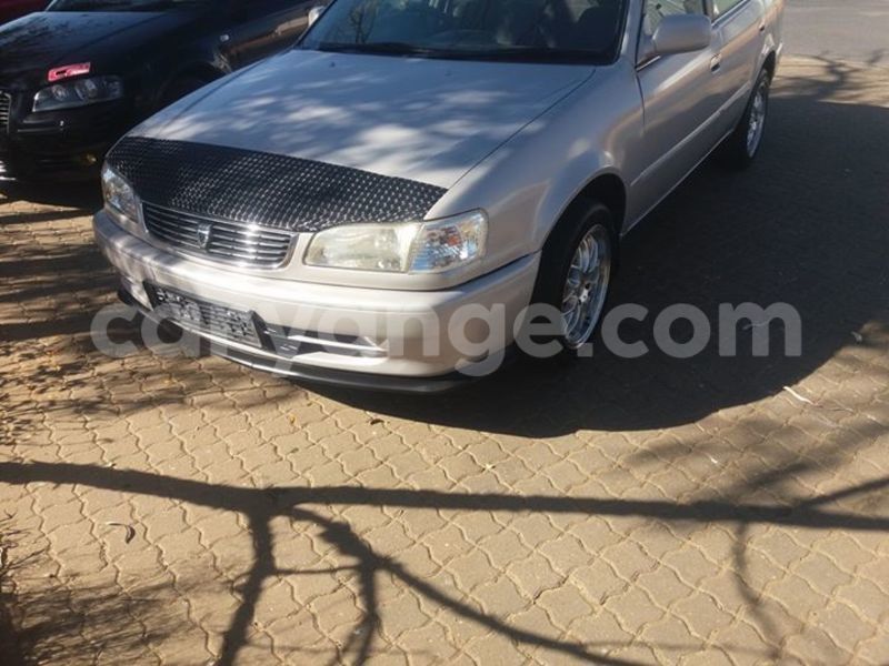 Big with watermark 13631437 10206662432903097 4922149191751444632 n