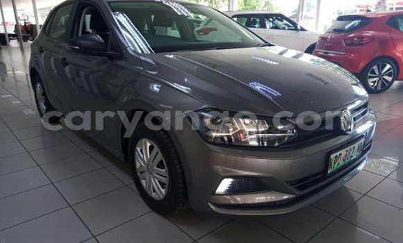 Buy Used Volkswagen Polo Other Car in Windhoek in Namibia