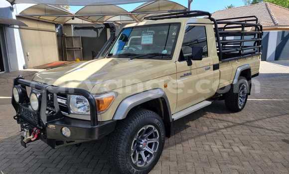 Buy Used Toyota Land Cruiser Beige Car in Windhoek in Namibia Buy Used Toyota Land Cruiser Beige Car in Windhoek in Namibia