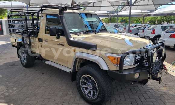 Buy Used Toyota Land Cruiser Beige Car in Windhoek in Namibia Buy Used Toyota Land Cruiser Beige Car in Windhoek in Namibia