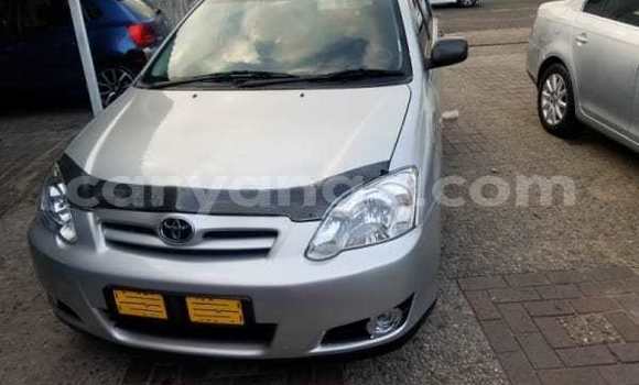 Buy Used Toyota Runx Silver Car in Walvis Bay in Namibia Buy Used Toyota Runx Silver Car in Walvis Bay in Namibia