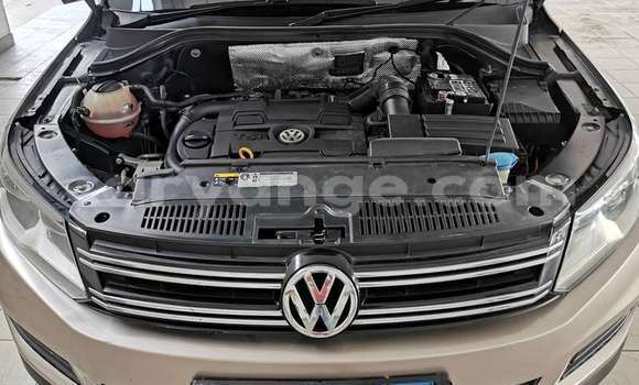 Buy Used Volkswagen Tiguan Brown Car in Katima Mulilo in Caprivi Buy Used Volkswagen Tiguan Brown Car in Katima Mulilo in Caprivi