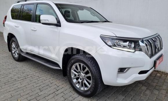 Acheter Occasion Voiture Toyota Land Cruiser Prado Blanc à Windhoek, Namibie
