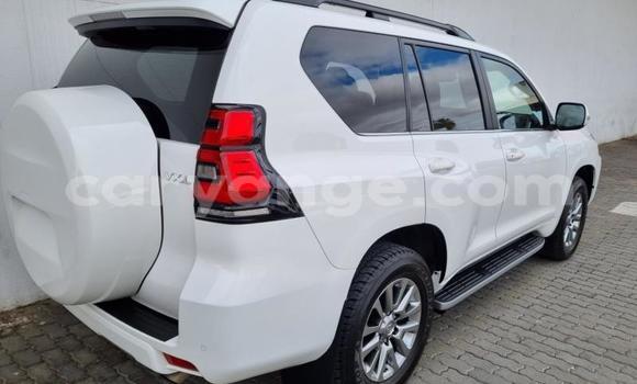 Acheter Occasion Voiture Toyota Land Cruiser Prado Blanc à Windhoek, Namibie Acheter Occasion Voiture Toyota Land Cruiser Prado Blanc à Windhoek, Namibie