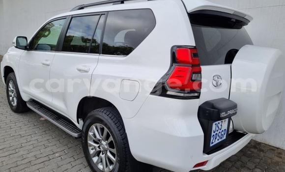 Acheter Occasion Voiture Toyota Land Cruiser Prado Blanc à Windhoek, Namibie Acheter Occasion Voiture Toyota Land Cruiser Prado Blanc à Windhoek, Namibie
