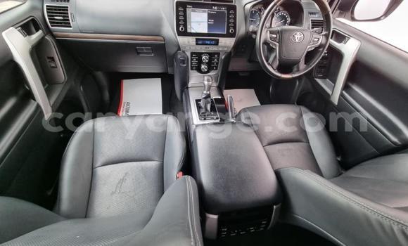 Acheter Occasion Voiture Toyota Land Cruiser Prado Blanc à Windhoek, Namibie Acheter Occasion Voiture Toyota Land Cruiser Prado Blanc à Windhoek, Namibie