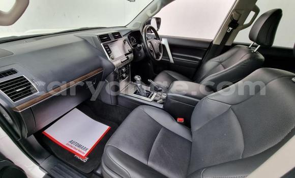 Acheter Occasion Voiture Toyota Land Cruiser Prado Blanc à Windhoek, Namibie Acheter Occasion Voiture Toyota Land Cruiser Prado Blanc à Windhoek, Namibie