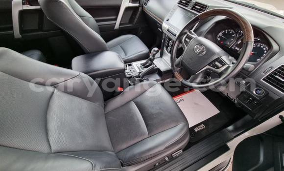 Acheter Occasion Voiture Toyota Land Cruiser Prado Blanc à Windhoek, Namibie Acheter Occasion Voiture Toyota Land Cruiser Prado Blanc à Windhoek, Namibie