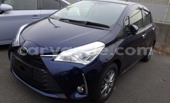 Buy Import Toyota Vitz Blue Car in Gobabis in Omaheke