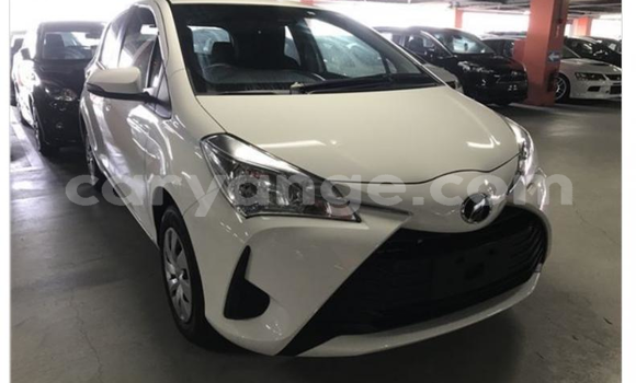 Buy Import Toyota Vitz White Car in Aranos in Hardap Buy Import Toyota Vitz White Car in Aranos in Hardap