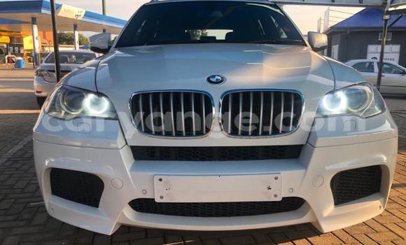 Buy Used BMW X5 White Car in Otavi in Oshikoto Buy Used BMW X5 White Car in Otavi in Oshikoto