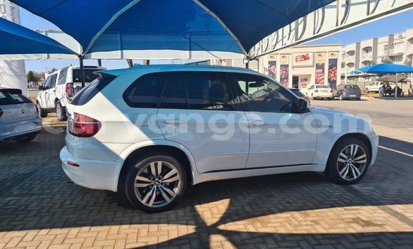 Buy Used BMW X5 White Car in Otavi in Oshikoto Buy Used BMW X5 White Car in Otavi in Oshikoto