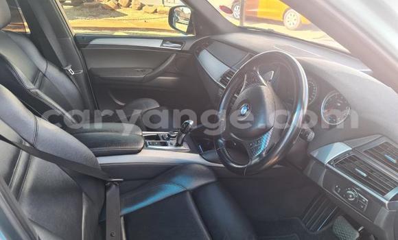 Buy Used BMW X5 White Car in Otavi in Oshikoto Buy Used BMW X5 White Car in Otavi in Oshikoto