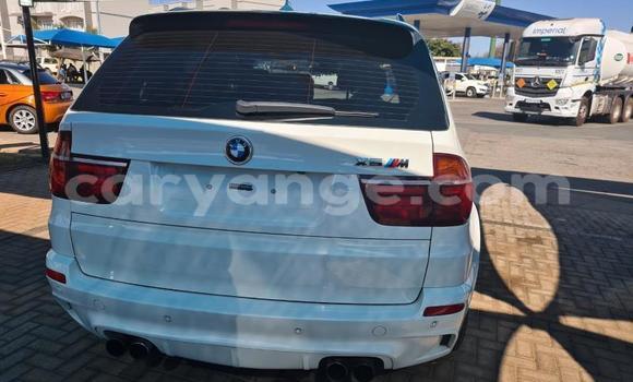 Buy Used BMW X5 White Car in Otavi in Oshikoto Buy Used BMW X5 White Car in Otavi in Oshikoto