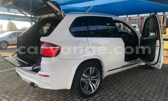 Buy Used BMW X5 White Car in Otavi in Oshikoto Buy Used BMW X5 White Car in Otavi in Oshikoto