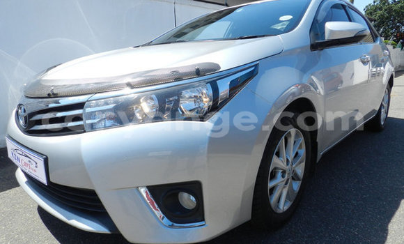 Acheter Occasion Voiture Toyota Corolla Gris à Luderitz, Karas Acheter Occasion Voiture Toyota Corolla Gris à Luderitz, Karas