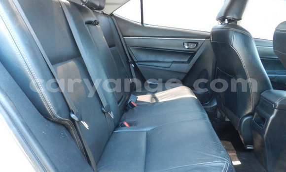 Acheter Occasion Voiture Toyota Corolla Gris à Luderitz, Karas Acheter Occasion Voiture Toyota Corolla Gris à Luderitz, Karas