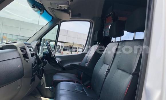 Buy Used Mercedes‒Benz Sprinter White Truck in Windhoek in Namibia Buy Used Mercedes‒Benz Sprinter White Truck in Windhoek in Namibia