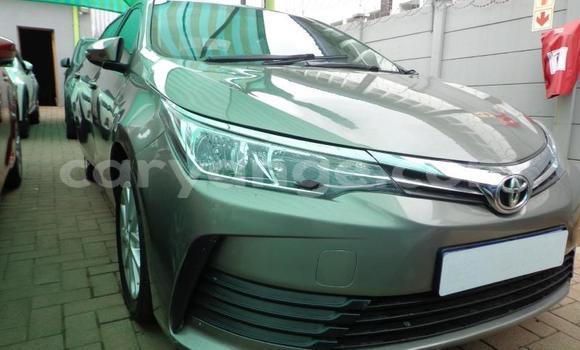 Buy Used Toyota Corolla Silver Car in Omaruru in Erongo