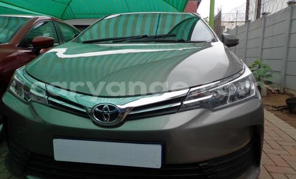 Acheter Occasion Voiture Toyota Corolla Gris à Omaruru, Erongo Acheter Occasion Voiture Toyota Corolla Gris à Omaruru, Erongo