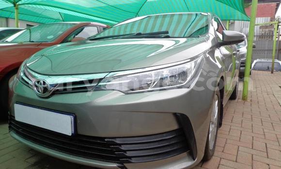 Acheter Occasion Voiture Toyota Corolla Gris à Omaruru, Erongo Acheter Occasion Voiture Toyota Corolla Gris à Omaruru, Erongo