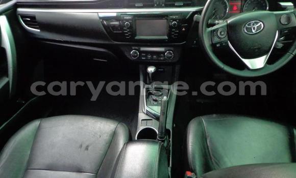 Acheter Occasion Voiture Toyota Corolla Gris à Omaruru, Erongo Acheter Occasion Voiture Toyota Corolla Gris à Omaruru, Erongo