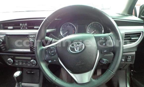 Acheter Occasion Voiture Toyota Corolla Gris à Omaruru, Erongo Acheter Occasion Voiture Toyota Corolla Gris à Omaruru, Erongo