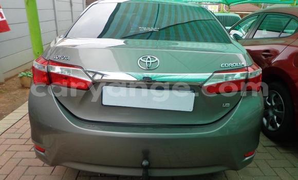 Acheter Occasion Voiture Toyota Corolla Gris à Omaruru, Erongo Acheter Occasion Voiture Toyota Corolla Gris à Omaruru, Erongo