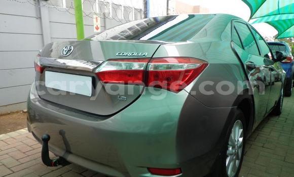 Acheter Occasion Voiture Toyota Corolla Gris à Omaruru, Erongo Acheter Occasion Voiture Toyota Corolla Gris à Omaruru, Erongo