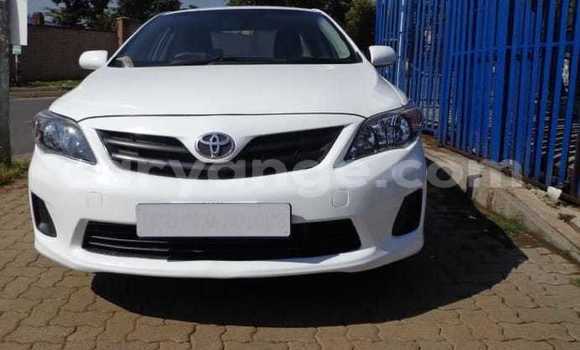 Buy Used Toyota Corolla White Car in Khorixas in Kunene Buy Used Toyota Corolla White Car in Khorixas in Kunene