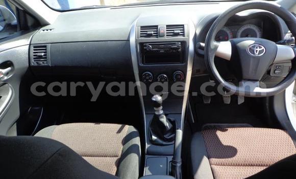 Buy Used Toyota Corolla White Car in Khorixas in Kunene Buy Used Toyota Corolla White Car in Khorixas in Kunene