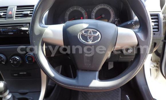 Buy Used Toyota Corolla White Car in Khorixas in Kunene Buy Used Toyota Corolla White Car in Khorixas in Kunene