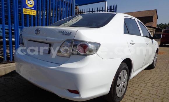 Buy Used Toyota Corolla White Car in Khorixas in Kunene Buy Used Toyota Corolla White Car in Khorixas in Kunene