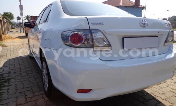 Buy Used Toyota Corolla White Car in Khorixas in Kunene Buy Used Toyota Corolla White Car in Khorixas in Kunene