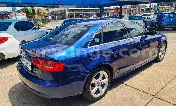 Buy Used Audi A4 Blue Car in Windhoek in Namibia Buy Used Audi A4 Blue Car in Windhoek in Namibia