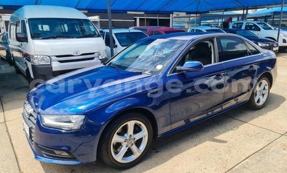 Buy Used Audi A4 Blue Car in Windhoek in Namibia Buy Used Audi A4 Blue Car in Windhoek in Namibia