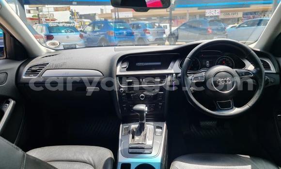 Buy Used Audi A4 Blue Car in Windhoek in Namibia Buy Used Audi A4 Blue Car in Windhoek in Namibia