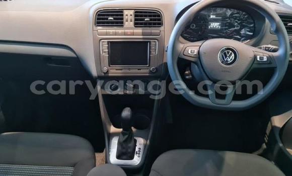 Buy Used Volkswagen Polo White Car in Windhoek in Namibia