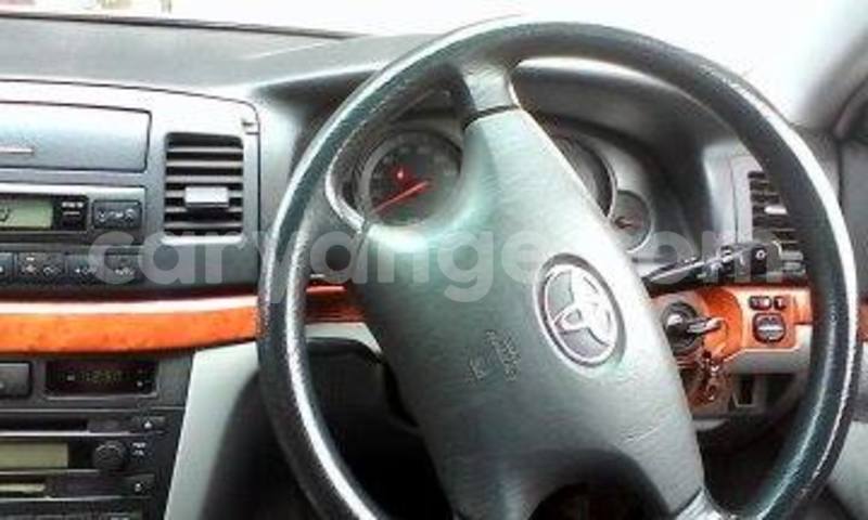 Big with watermark 13537676 10209550011772106 7523761240212214100 n