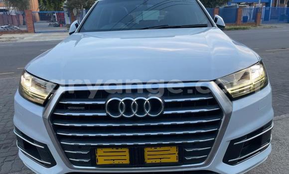 Buy Used Audi Q7 White Car in Aranos in Hardap Buy Used Audi Q7 White Car in Aranos in Hardap