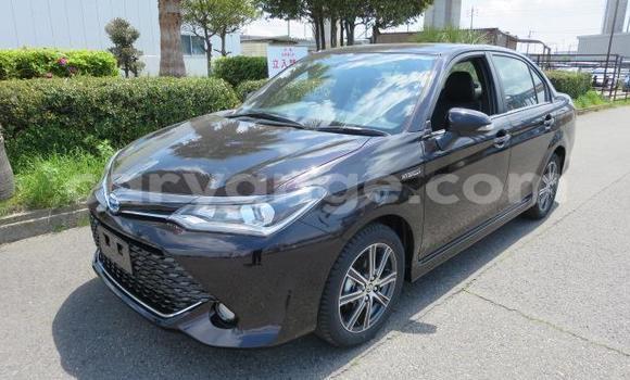 Buy Used Toyota Axio Other Car in Grootfontein in Namibia