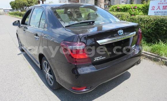 Buy Used Toyota Axio Other Car in Grootfontein in Namibia Buy Used Toyota Axio Other Car in Grootfontein in Namibia